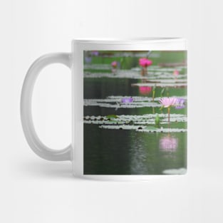 Water lilies in reflection Mug